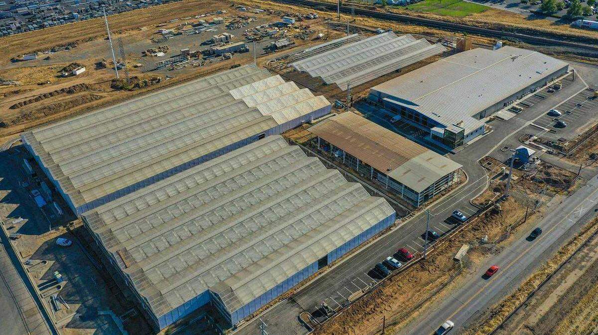 Natura’s facilities at 8280 Elder Creek Road in the city’s Morrison Creek district are seen in a 2020 photo. The company is working with the city to bring 22 buildings on its 11.5-acre site into code compliance.
