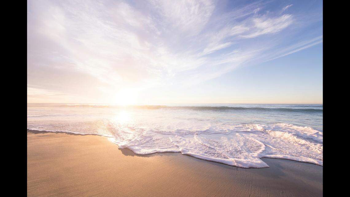Sick seabird with oiled feathers found on California beach — then rescuers stepped in