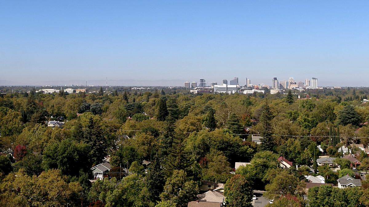 East Sacramento’s tree canopy covers about a third of the neighborhood – well above the city’s average of 20% – as shown in this drone image from October 2019.