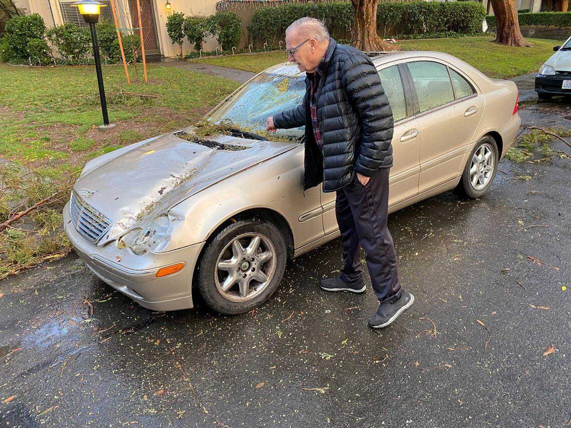 Ron Berkan inspects the damage Sunday on his vehicle in the Campus Commons section of Sacramento following heavy winds from a winter storm, which downed trees and knocked out power to about 350,000 SMUD customers across the capital region.