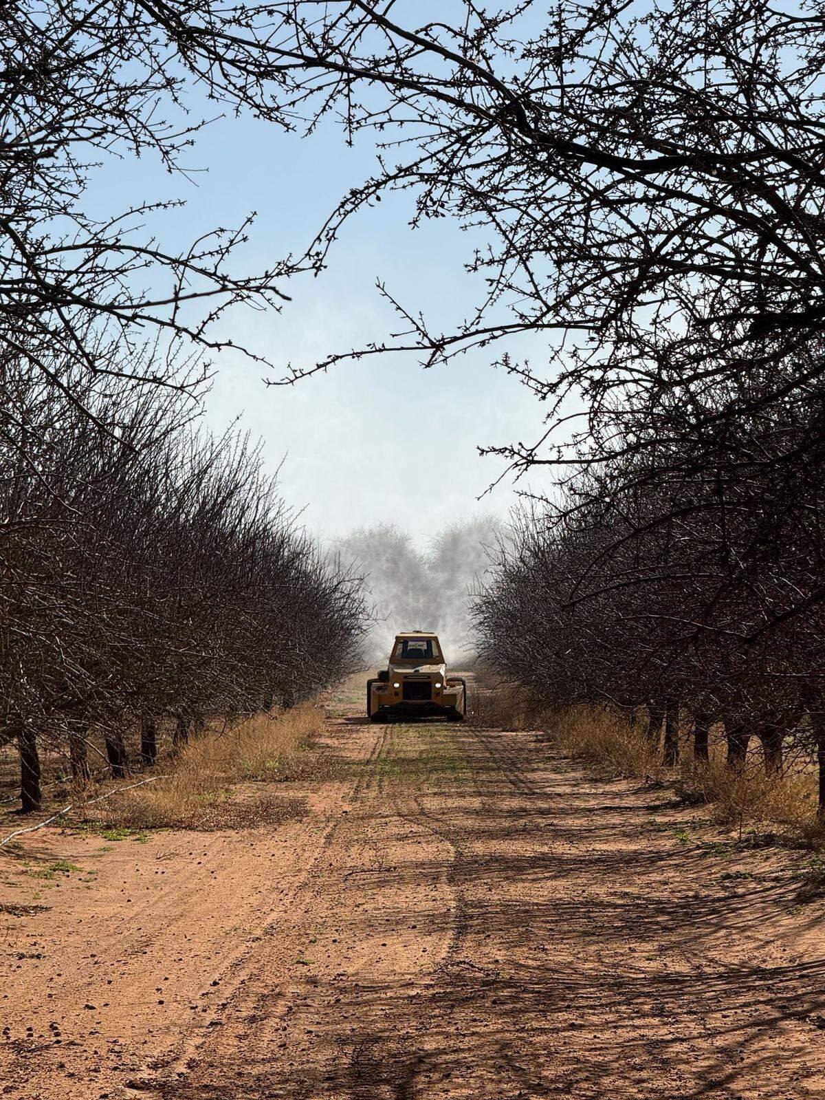 A Bonsai-powered OMC AR-500 autonomously sprays an orchard in Davis. By reimagining how farm equipment can be designed with autonomy, Bonsai boosts efficiency for growers. 