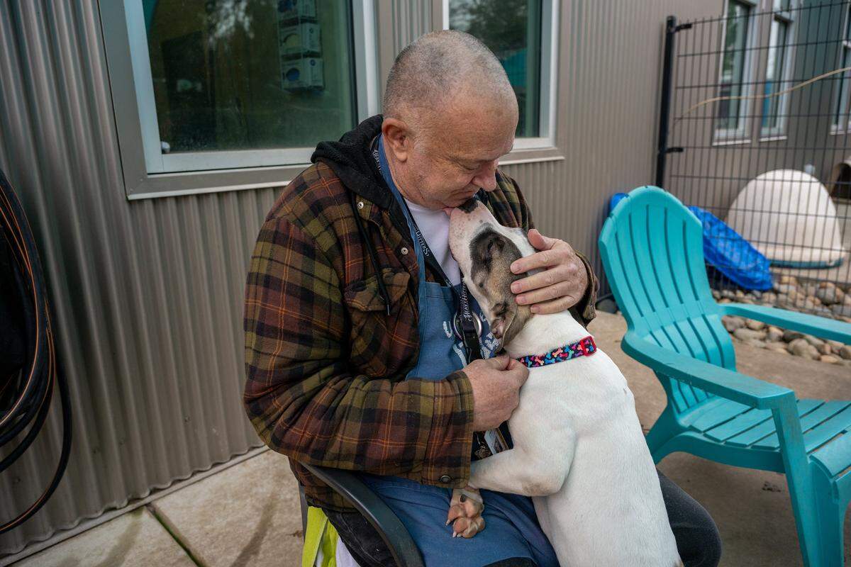 Mike Michler, who has been volunteering to help socialize dogs at the Bradshaw Animal Shelter, gets love from Freckles on Monday, Nov. 24, 2025. Brittani Peterson, the social media manager for Sacramento County Animal Care Services, said she enjoys learning an animal’s personality by observing them before photographing and writing about them for social media.