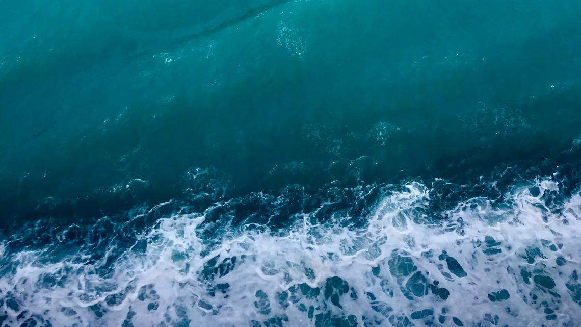 The huge fin whale was spotted in southeast Alaska, according to a Facebook post.
