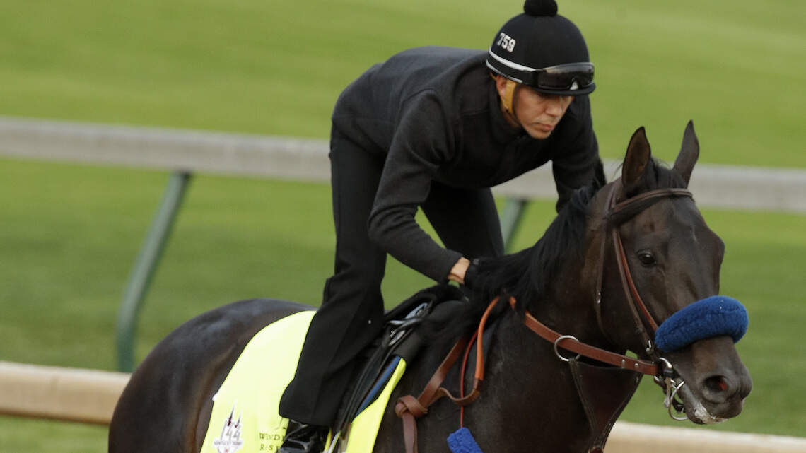 Why Hall of Fame trainer Hollendorfer has high regard for his Kentucky Derby long shot