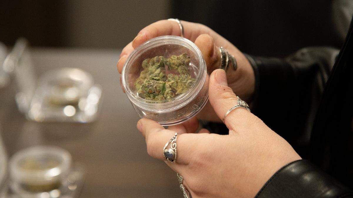 Riley Faulkner hold a marijuana bud sample at the Perfect Union marijuana dispensary on Friday, Oct. 22, 2021, in Sacramento. The city of Galt is considering lifting its ban on retail cannabis sales, and will hold town hall meetings June 27 and June 29, 2023, at the Galt Police Department.