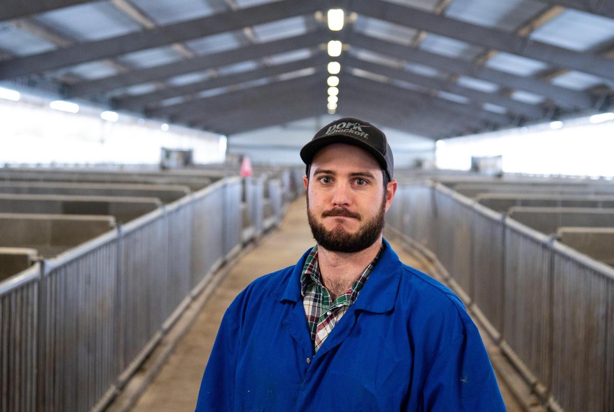 Aaron Prinz, manager of the UC Davis Swine Center and secretary-treasurer of the California Pork Producers Association, stands in the main aisle of the breeding and gestation barn at the swine center Friday, Dec. 13, 2019, in Davis. A 2018 ballot initiative, Proposition 12, set space requirements for pregnant sows, veal calves and egg-laying hens, and is scheduled to take effect in 2022 for pigs.