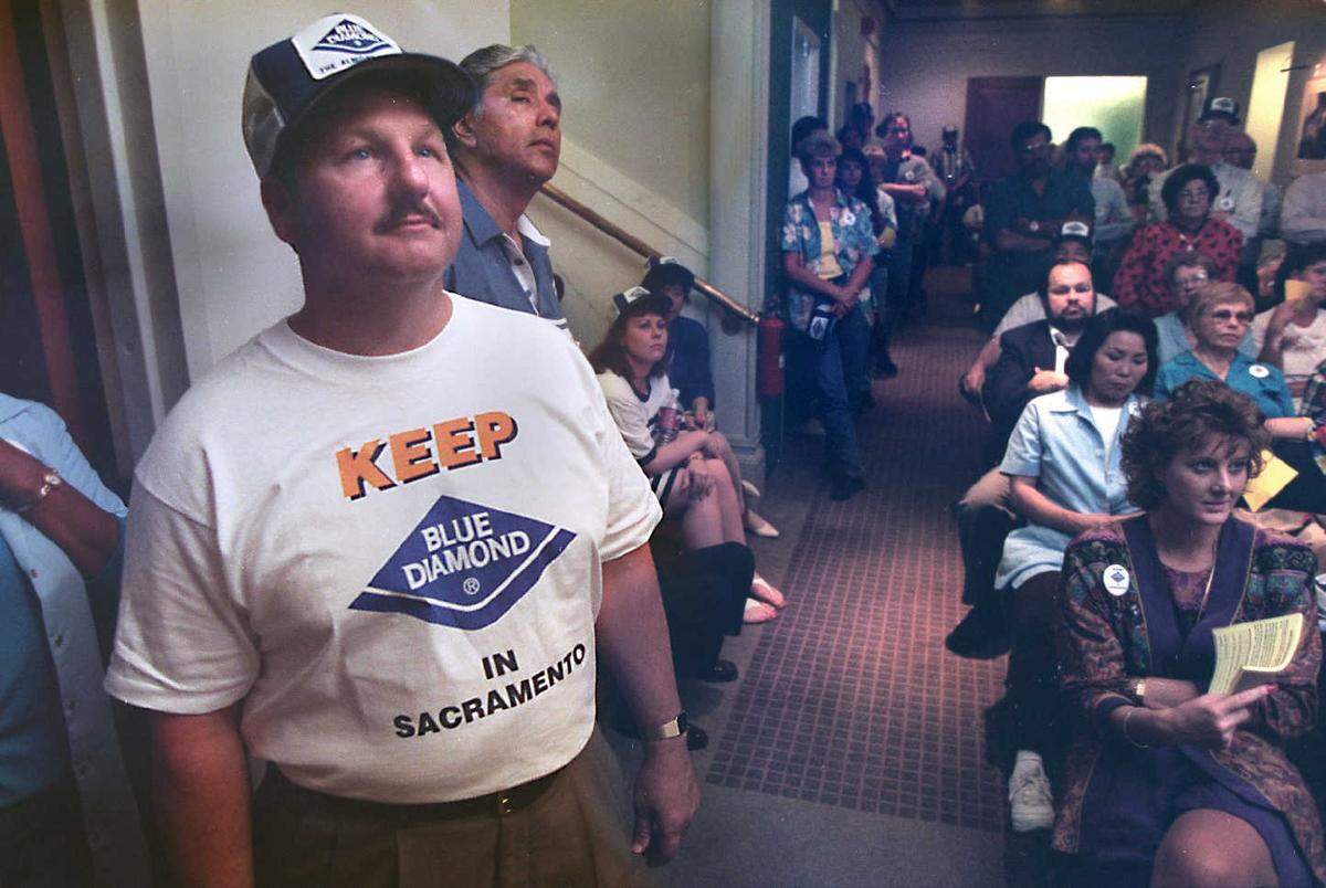 Frank Bragg, a 7-year employee of Blue Diamond, looks up at the monitor of the City Council meeting that was considering a multimillion taxpayer bailout of the Blue Diamond Growers in 1995.