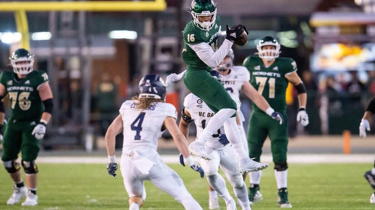 Sacramento State Hornets tight end Marshel Martin (16) shows his impressive vertical leap as catches a pass and prepares for a hit by UC Davis defensive back Rex Connors (4) during the second half of the Causeway Classic on Nov. 19 at Hornet Stadium.