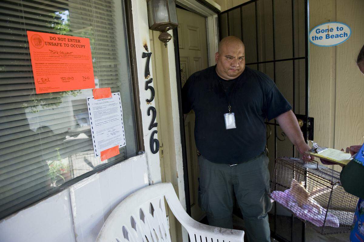 Sacramento County animal control officer Ruben Hernandez brings out a young cat from a duplex where more than 50 were recovered in Citrus Heights in 2010.