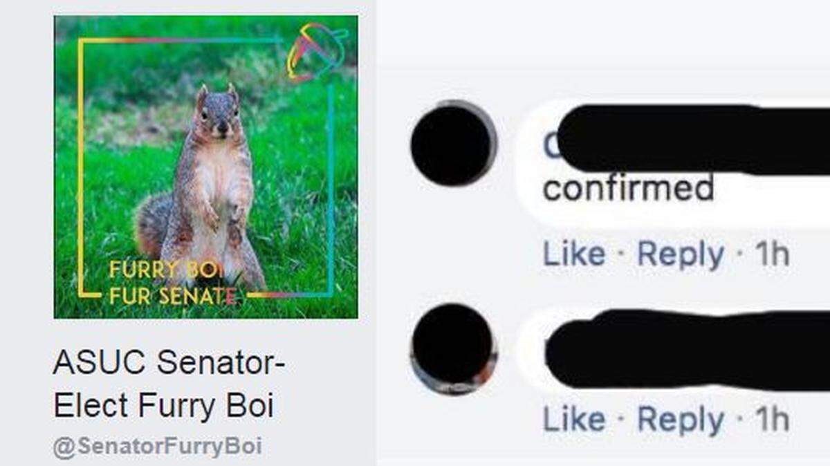 The profile image and banner for UC Berkeley resident and Associated Students of the University of California student senator-elect Furry Boi on Facebook.