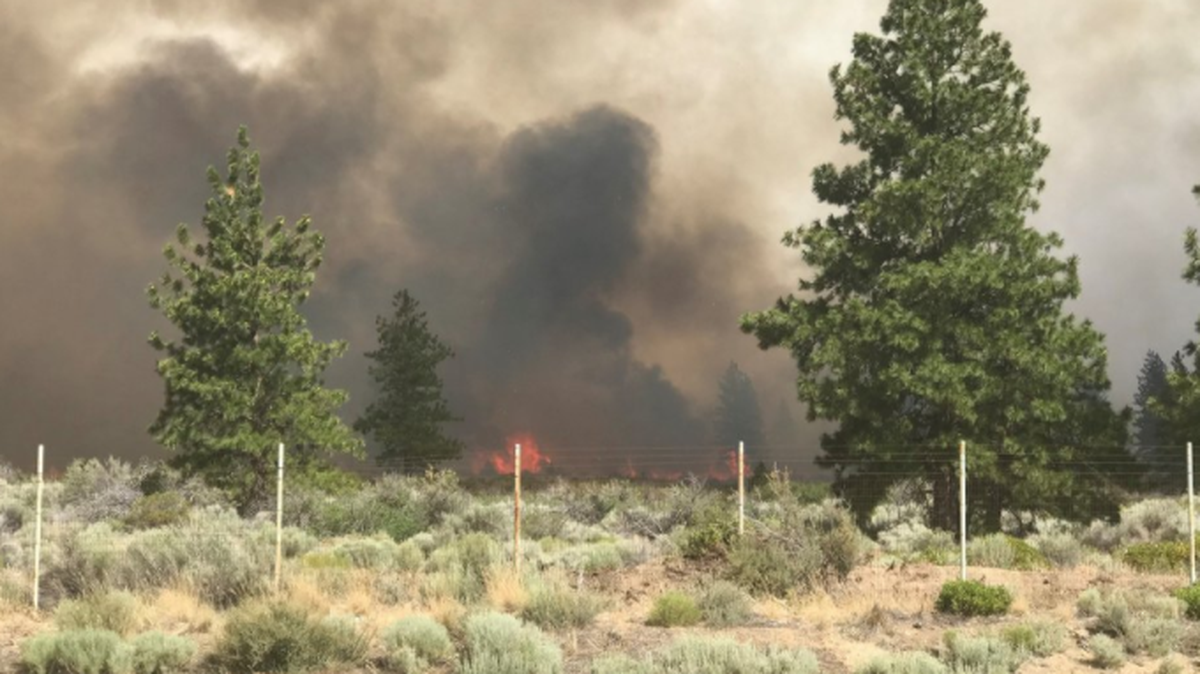 Part of the Lava Fire burns in Siskiyou County on Monday, June 28, 2021.