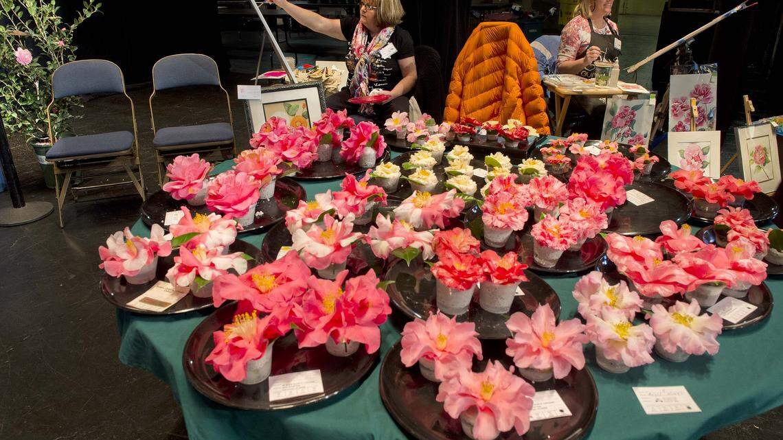 World's largest, oldest camellia show returns to Memorial Auditorium – at least once more