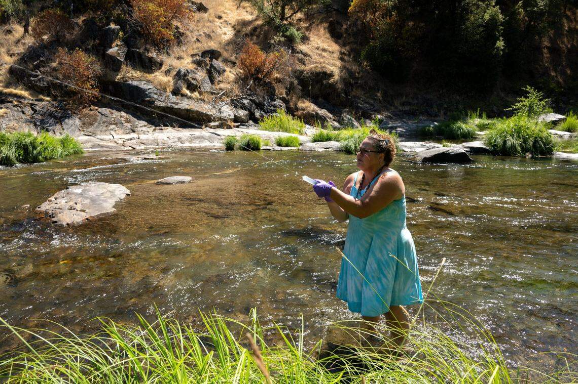 Kimberly Petree, executive director of Cosumnes Culture and WaterWays and descendent of a Miwok tribe that lived in the area, flushes water from a sample bottle before testing the water quality of the north fork of the Cosumnes River in El Dorado County earlier this month. Her nonprofit recently took control of 320 acres of ancestral lands, transferred from the American River Conservancy, along the river known as Ladies Valley.