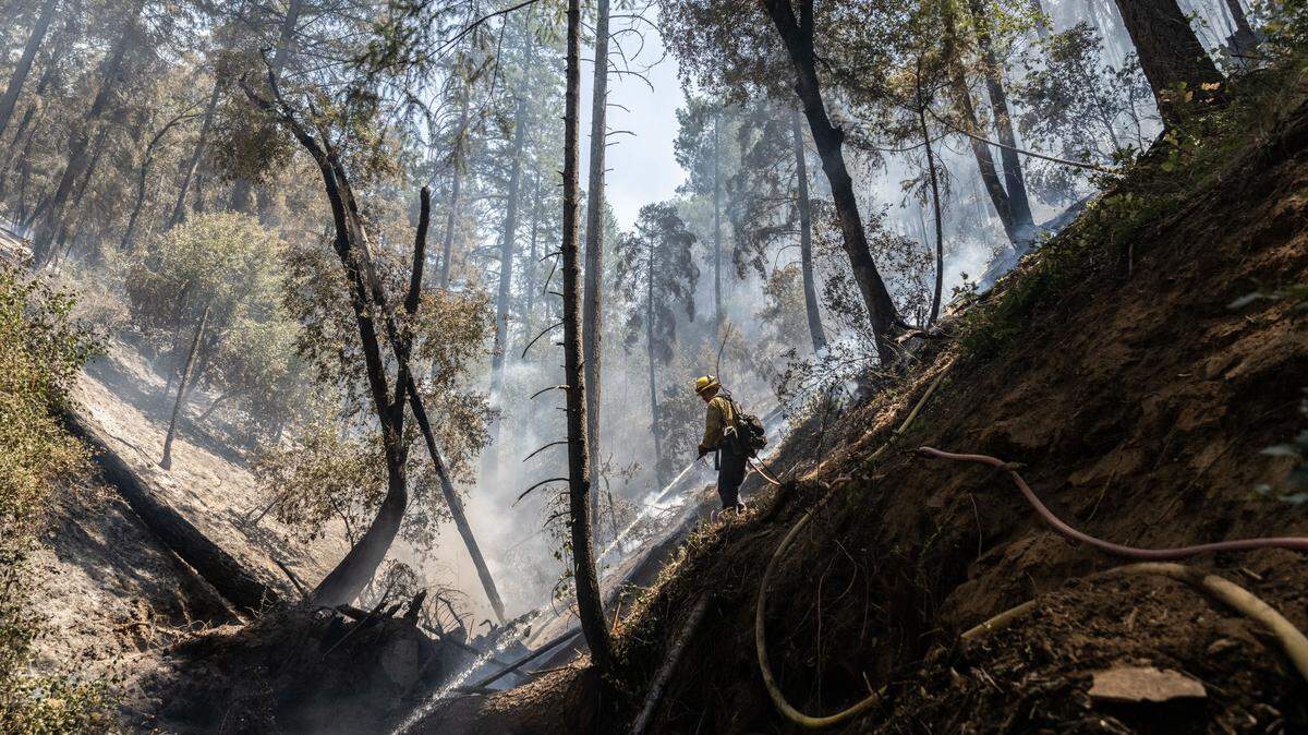 Cal Fire firefighter Eric Schnetz of Georgetown hoses down part of the Crozier Fire in El Dorado County on Wednesday, Aug. 7, 2024.