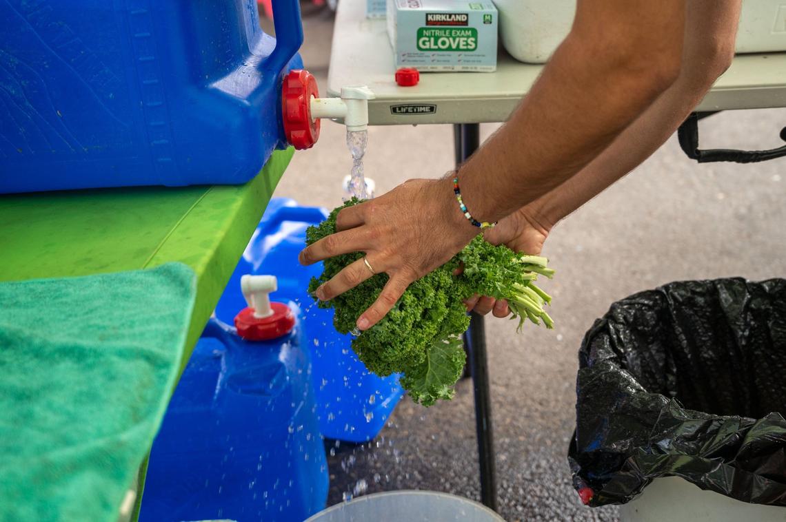 Brady Bisgaard washes organic kale purchased at the Midtown Farmers Market in Sacramento on Saturday, July 27, 2024. Bisgaard buys smoothie ingredients from local produce vendors at the market every week.