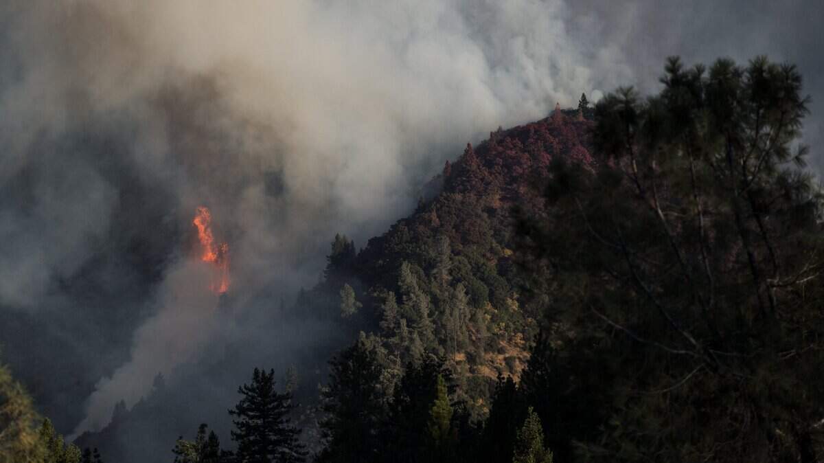Spot fires pop-up at hillside at the Trail Fire in El Dorado County and Placer County on Tuesday, June 28, 2016.