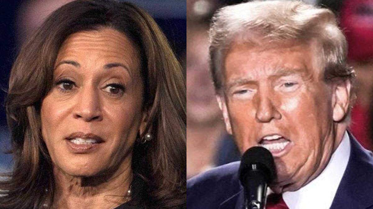Vice President and Democratic nominee Kamala Harris and former President and Republican nominee Donald Trump, candidates for president in the Nov. 5, 2024, election.
