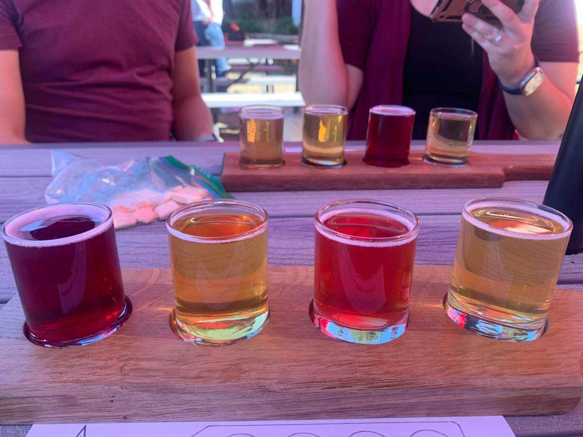 A hard cider flight from Hidden Star Camino on Apple Hill.