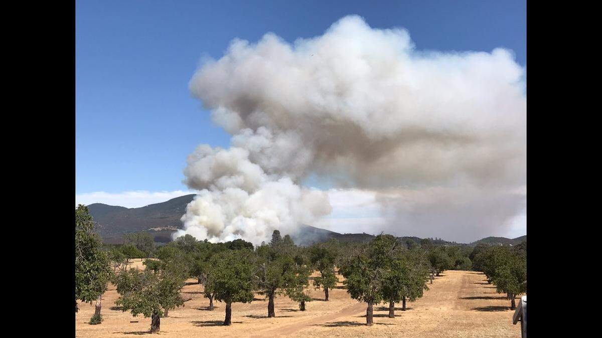 Cal Fire crews began battling the Oak Fire in Lake County, one of two new wild fires to start Saturday afternoon.