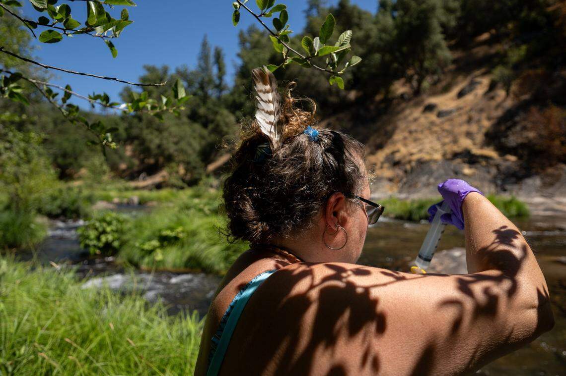 Kimberly Petree, executive director of Cosumnes Culture and WaterWays and a descendent of a Miwok tribe that lived in the area, prepares to test the quality of the north fork of the Cosumnes River in Ladies Valley in El Dorado County earlier this month. Her nonprofit recently took control of 320 acres of ancestral lands transferred from the American River Conservancy.