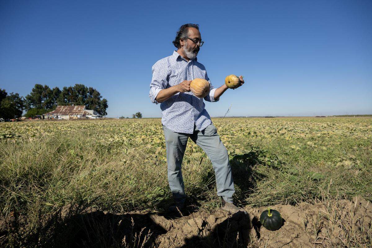 Dev Patel, growers relation manager for Row 7, holds a koginut squash — a small pumpkin that has a velvety texture and rich, nutty flavor — in Esparto on Oct. 17.