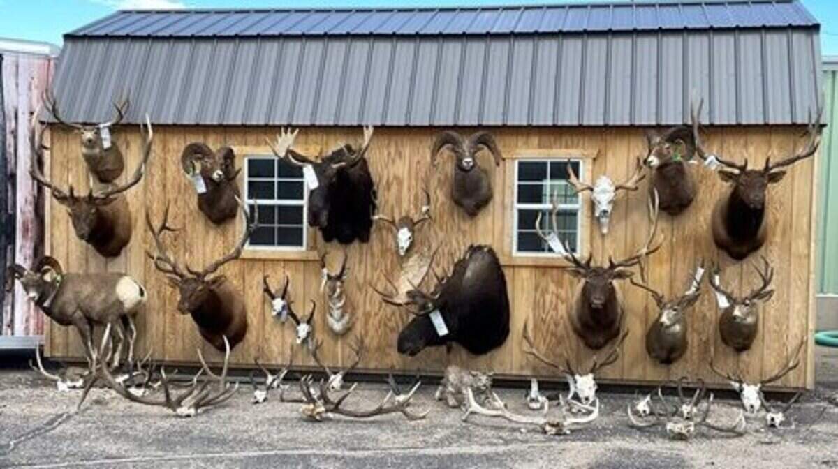 Three men were convicted in one of the largest poaching cases in Wyoming history, with more than 100 wildlife violations between them, officials said.