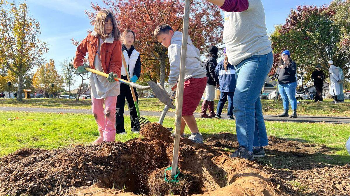 More than 200 volunteers participated in a community climate action event put on by the California Climate Action Corps on Saturday, where they planted trees in a Del Paso Heights park.