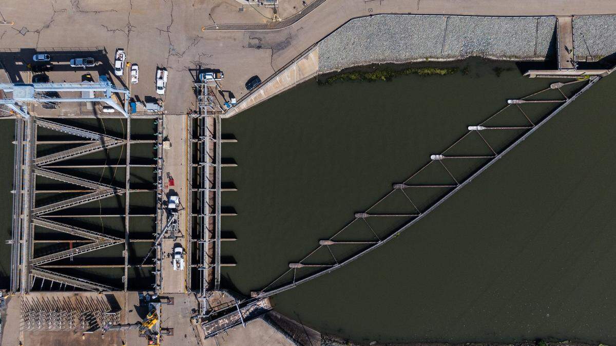 The louvers, left, of the John E. Skinner Delta Fish Protective Facility, seen by drone on Wednesday, help guide fish out of the channel that leads to the Harvey O. Banks Pumping Plant at the beginning of the California Aqueduct. The fish are released back into the Delta.