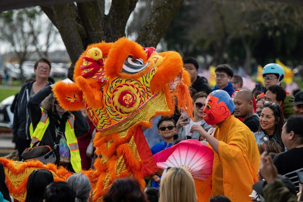 A dragon from the Pleasant Grove High School Lion Dance Club meets onlookers at the Lunar New Year Tet festival in Elk Grove Park on Saturday.