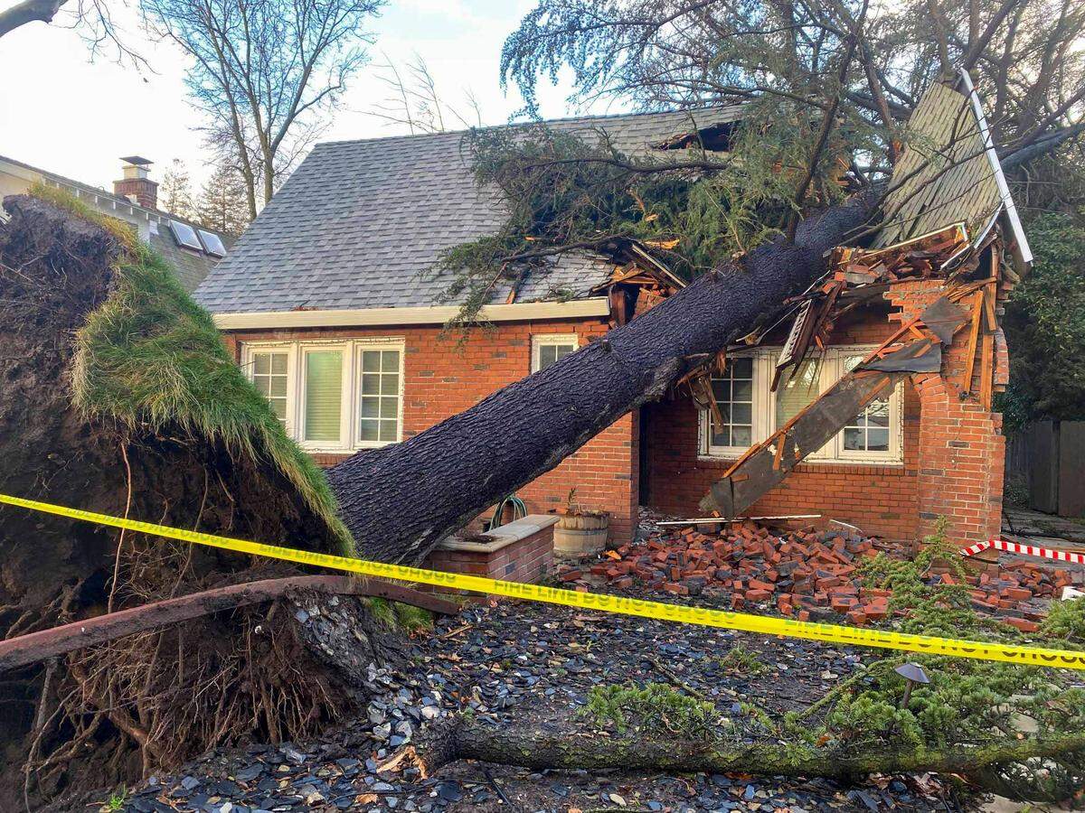 Damage is shown from a tree that fell on Molly O’Keefe’s and Hunter Parnell’s home in Curtis Park during a storm on Jan. 7. The couple have since been living with her parents in Arden-Arcade. Their contractor estimates it will take over six months before they could move back in.