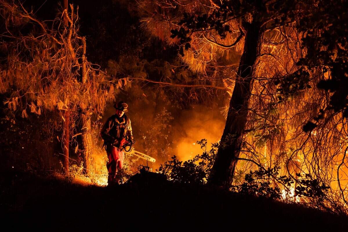 Ophir Hill volunteer firefighter Brian Harms works with a chainsaw to clear fuel from alongside Highway 174 while fighting the River Fire on Wednesday, Aug. 4, 2021, in Nevada County.