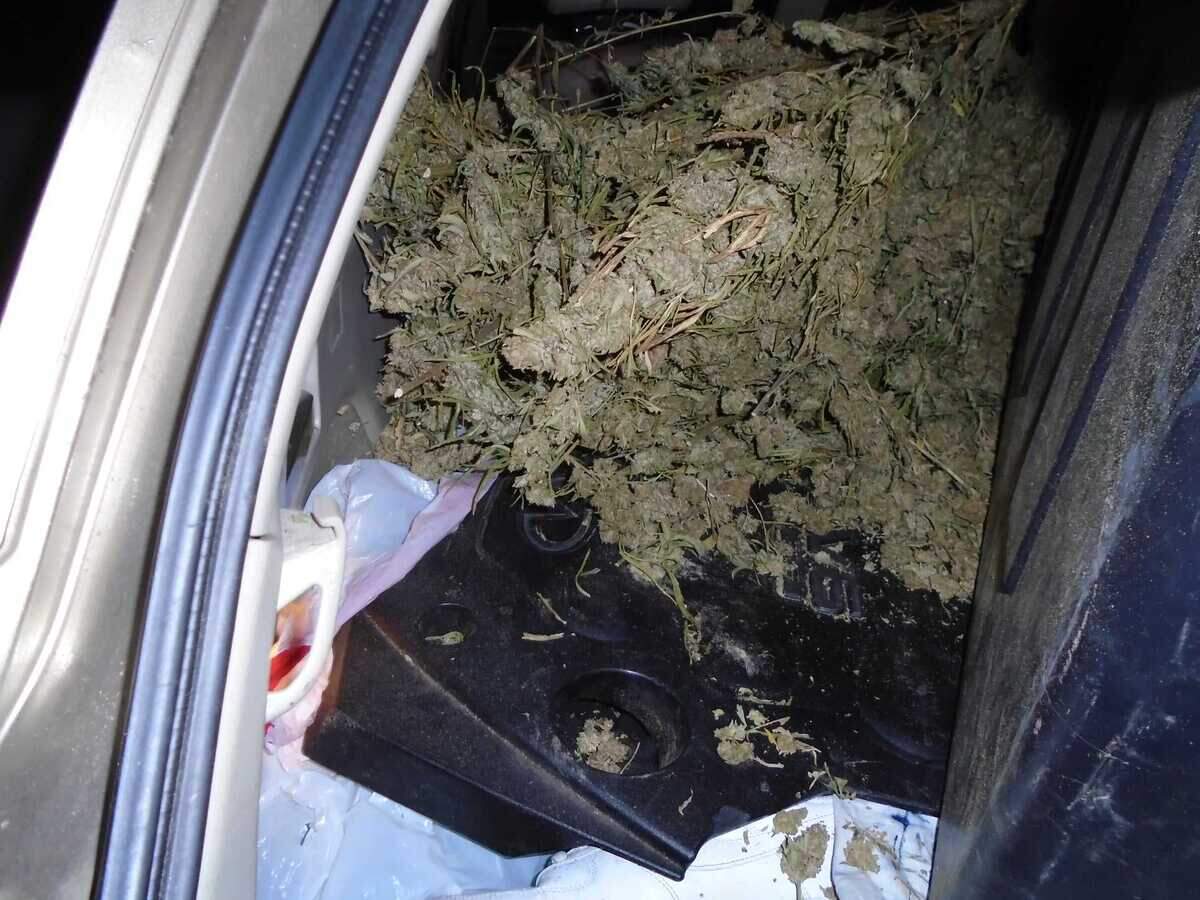 Two vehicles allegedly involved in a marijuana theft at a licensed cannabis growing site in Yolo County crashed near Esparto, California during a police chase early Saturday Nov. 21, 2020. Investigators found a large amount of marijuana in one of the vehicles.