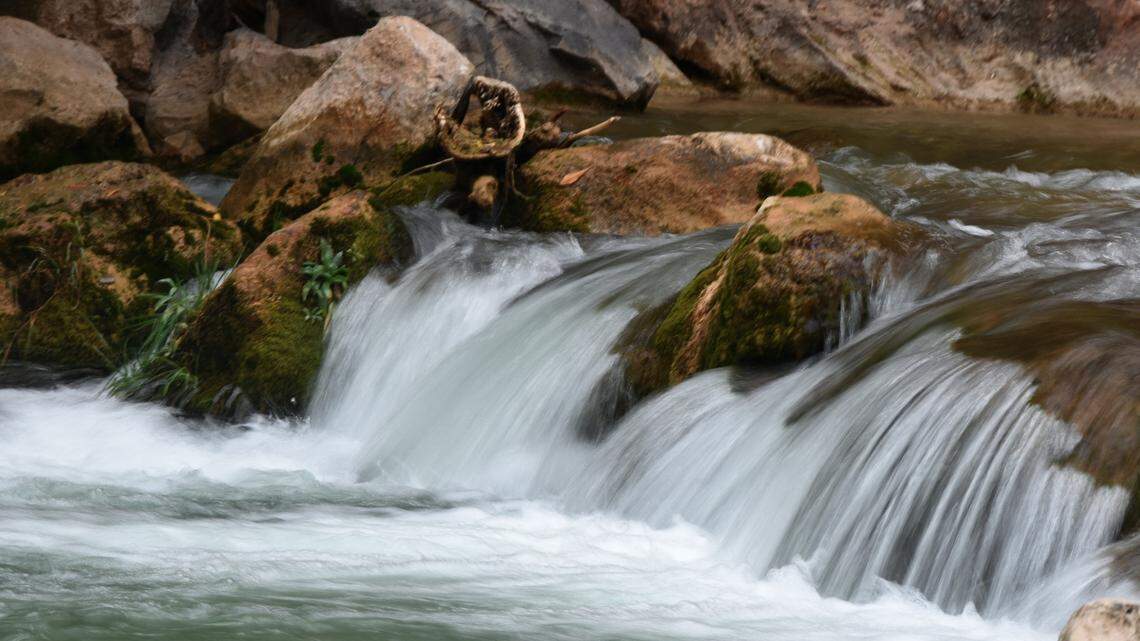 Rescue crews training at Zion National Park saved a woman seen clinging to a log in the Virgin River, Utah rangers say.