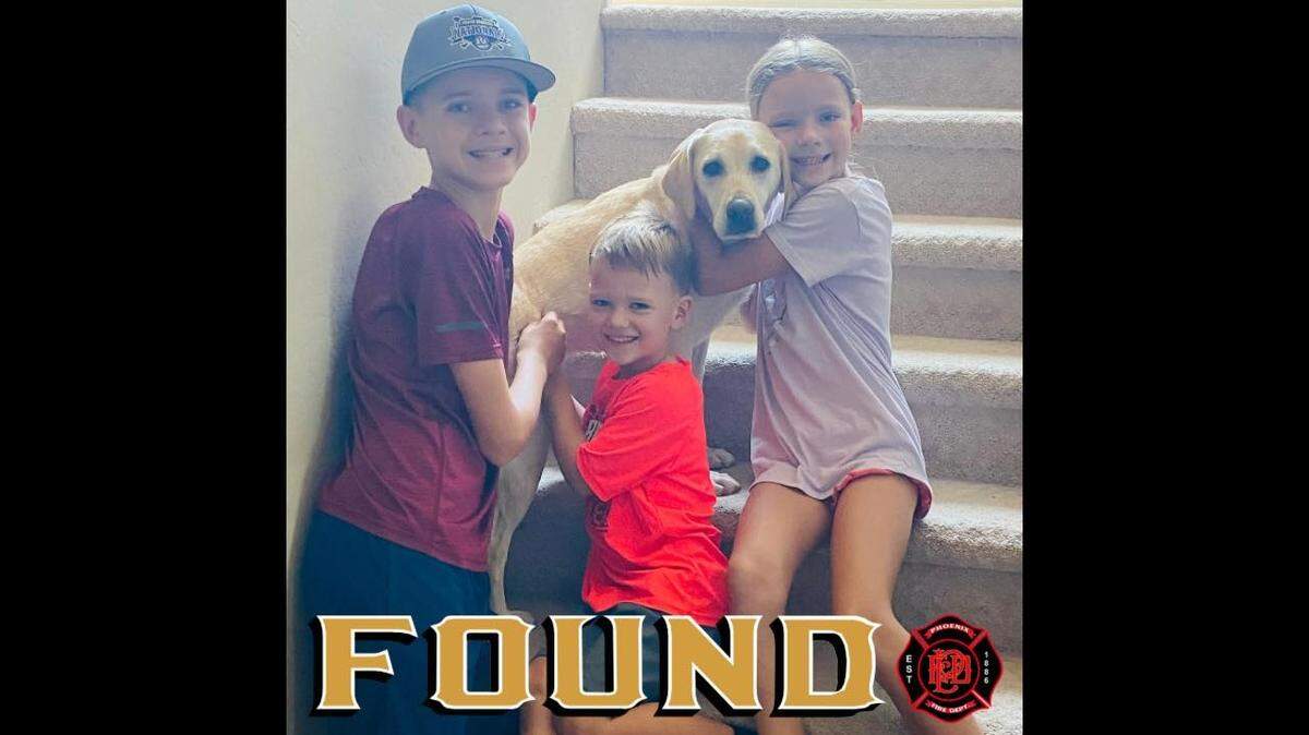 A missing search dog was found cooling off, Arizona fire officials said.