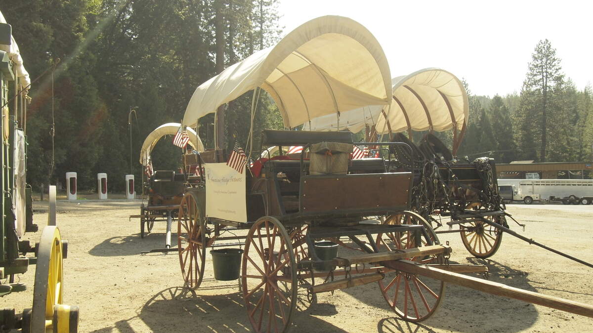 A wagon parked at Fresh Pond alongside a fleet of carriages. The horse-drawn 76th annual Highway 50 Association Wagon Train traveled from Round Hill, Nevada to Placerville, California.