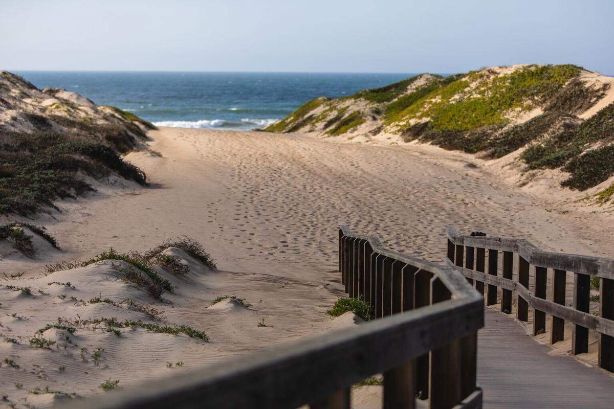Take in the views along the Oso Flaco Boardwalk.