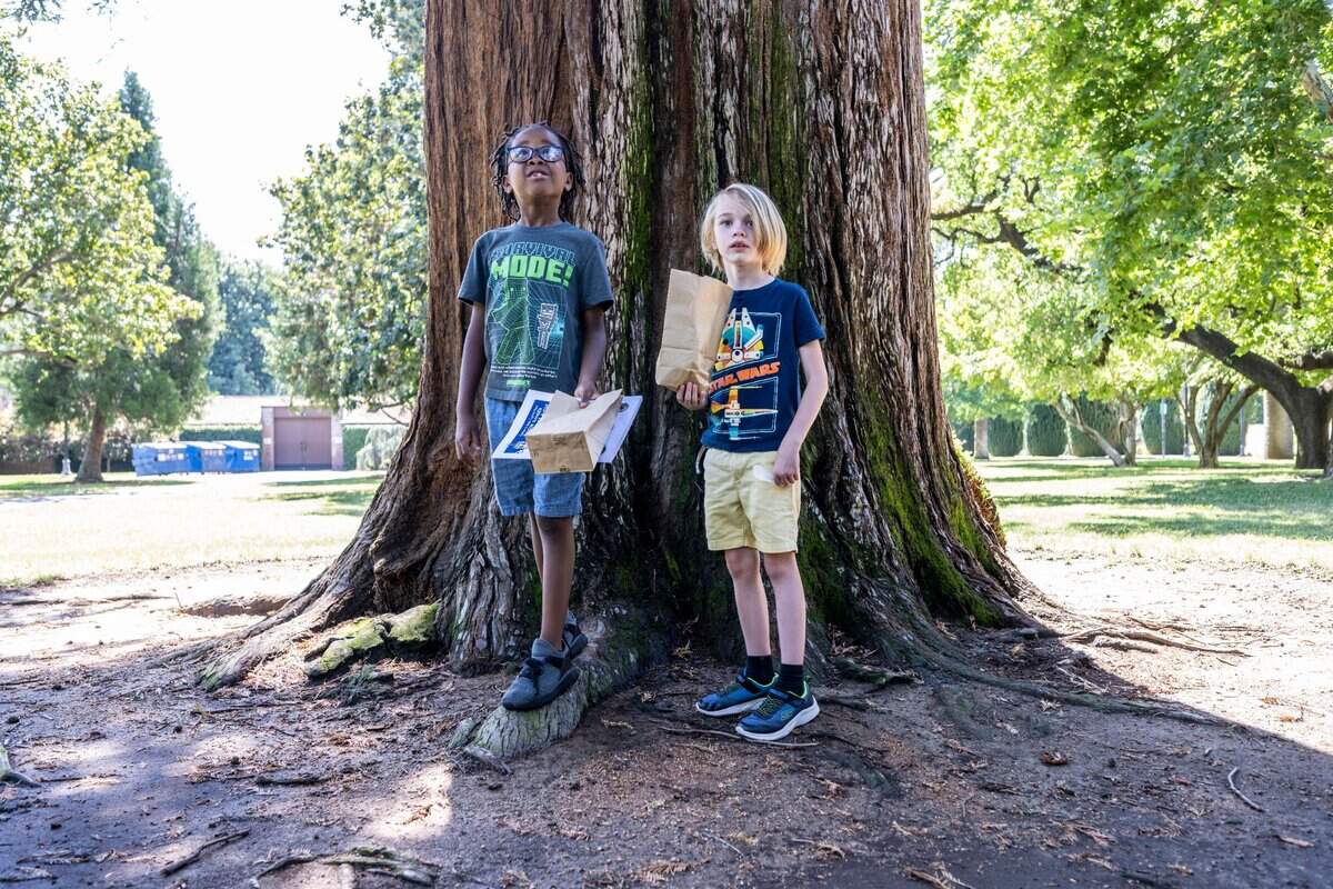 Arkyn Harris, left, and Jack Orcutt, both 7-year-olds from Sacramento, stand on a redwood tree as they participate in the California State Capitol Park Junior Rangers program on Sunday, June 29, 2025.