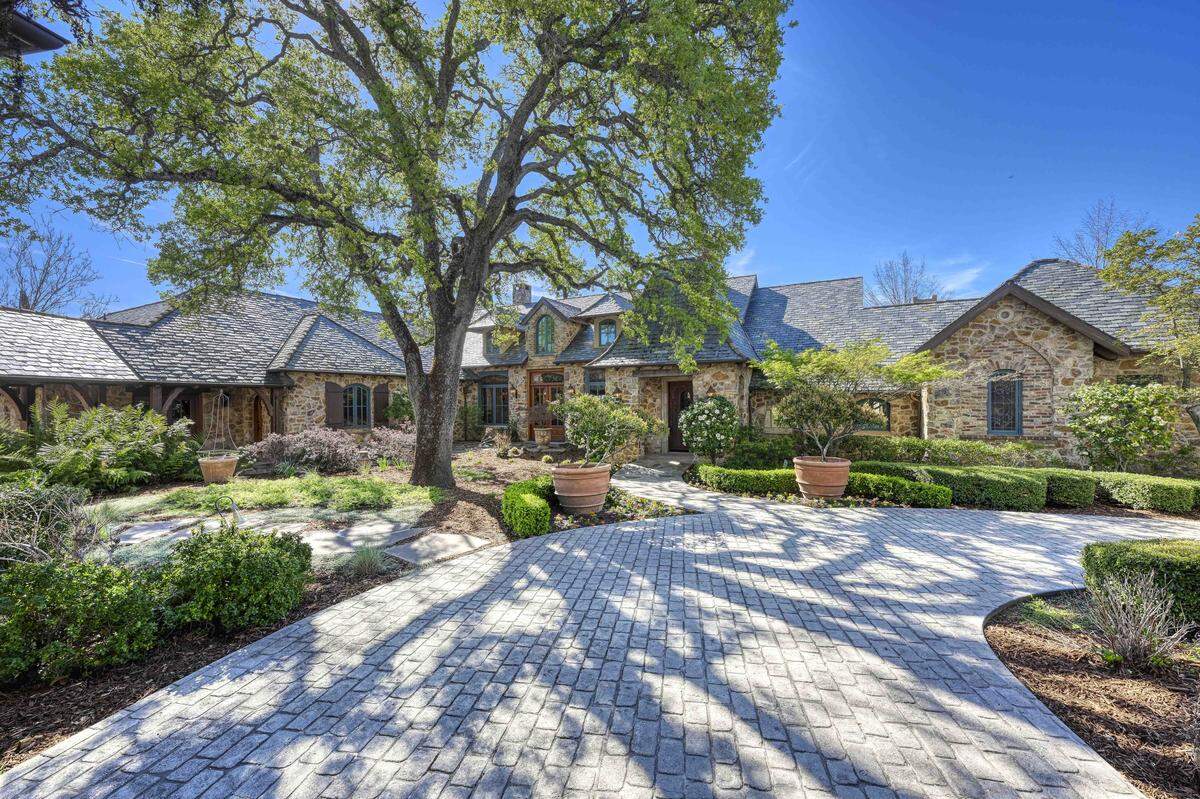 Preserving this oak tree and the infinity pool in the back was the starting point for building the house.