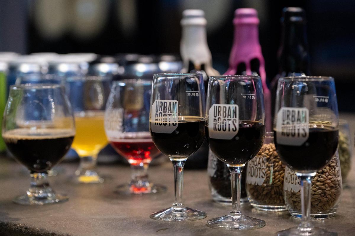 A selection of Urban Root’s stout, IPA, lager and fruited sour beers are displayed at the Sacramento brewery on Monday, April 14, 2025.