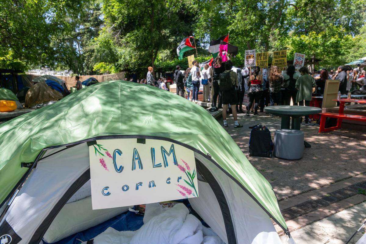 Members of the Sacramento State chapter of Students for Justice Palestine chant after a campus press conference on Wednesday about the university’s agreement to alter its investment policy language. The group has been camped out on the library quad since late last month, calling for disclosure of any university ties to Israel and divestment if such ties exist.