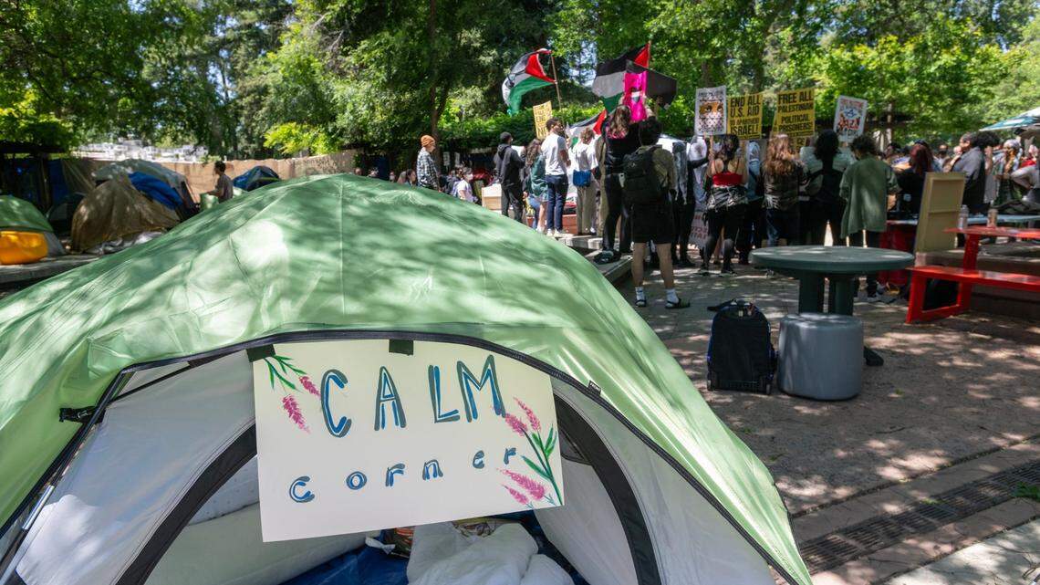 Members of the Sacramento State chapter of Students for Justice Palestine chant after a campus press conference on Wednesday, May 8, 2024, about the university’s agreement to alter its investment policy language. The group has been camped out on the library quad since late last month, calling for disclosure of any university ties to Israel and divestment if such ties exist. 