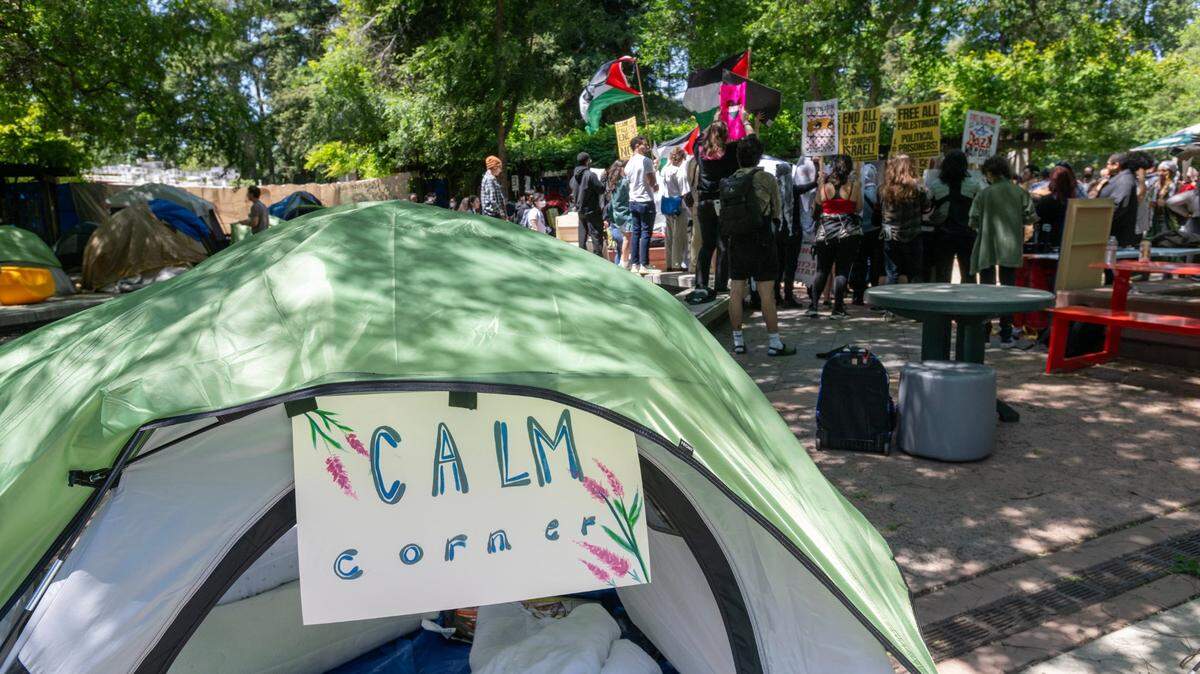 Members of the Sacramento State chapter of Students for Justice Palestine chant after a campus press conference on Wednesday, May 8, 2024, about the university’s agreement to alter its investment policy language. The group has been camped out on the library quad since late last month, calling for disclosure of any university ties to Israel and divestment if such ties exist. 