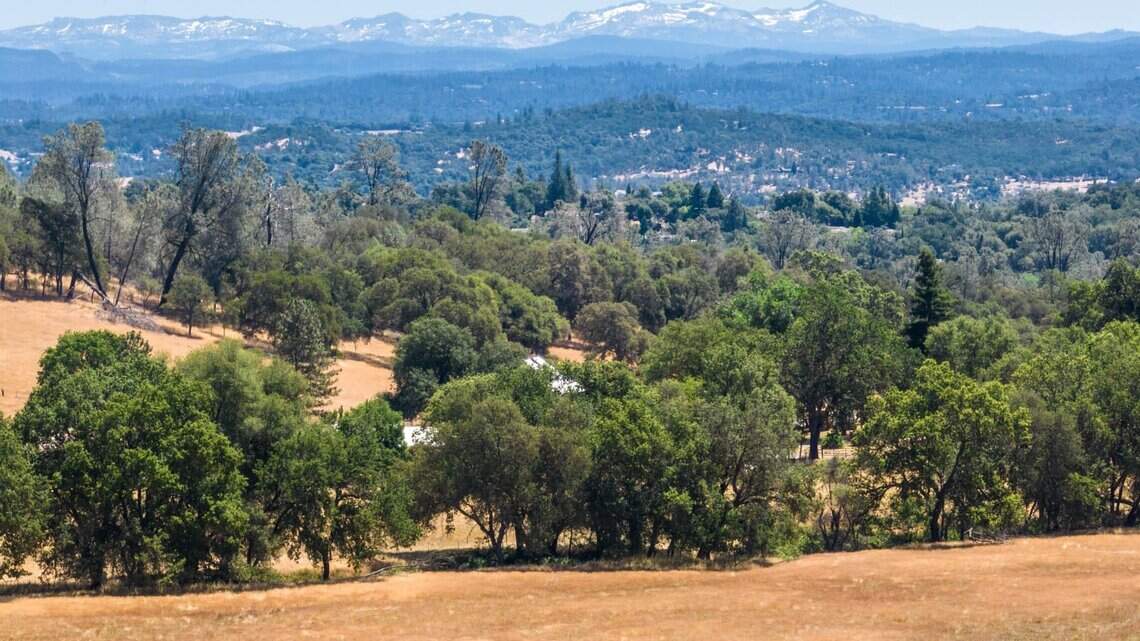 Get to know candidates in El Dorado County special district races