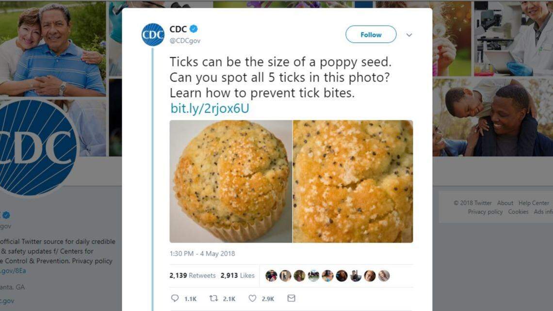 A photo posted to Twitter by the Centers for Disease Control showing ticks hidden on a poppyseed muffin, intended to make a point about Lyme disease, left many online just saying, ‘yuck,’ prompting a tongue-in-cheek apology.