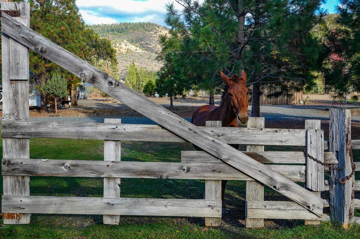 Horses and mules have been a part of the property since the 1800s.
