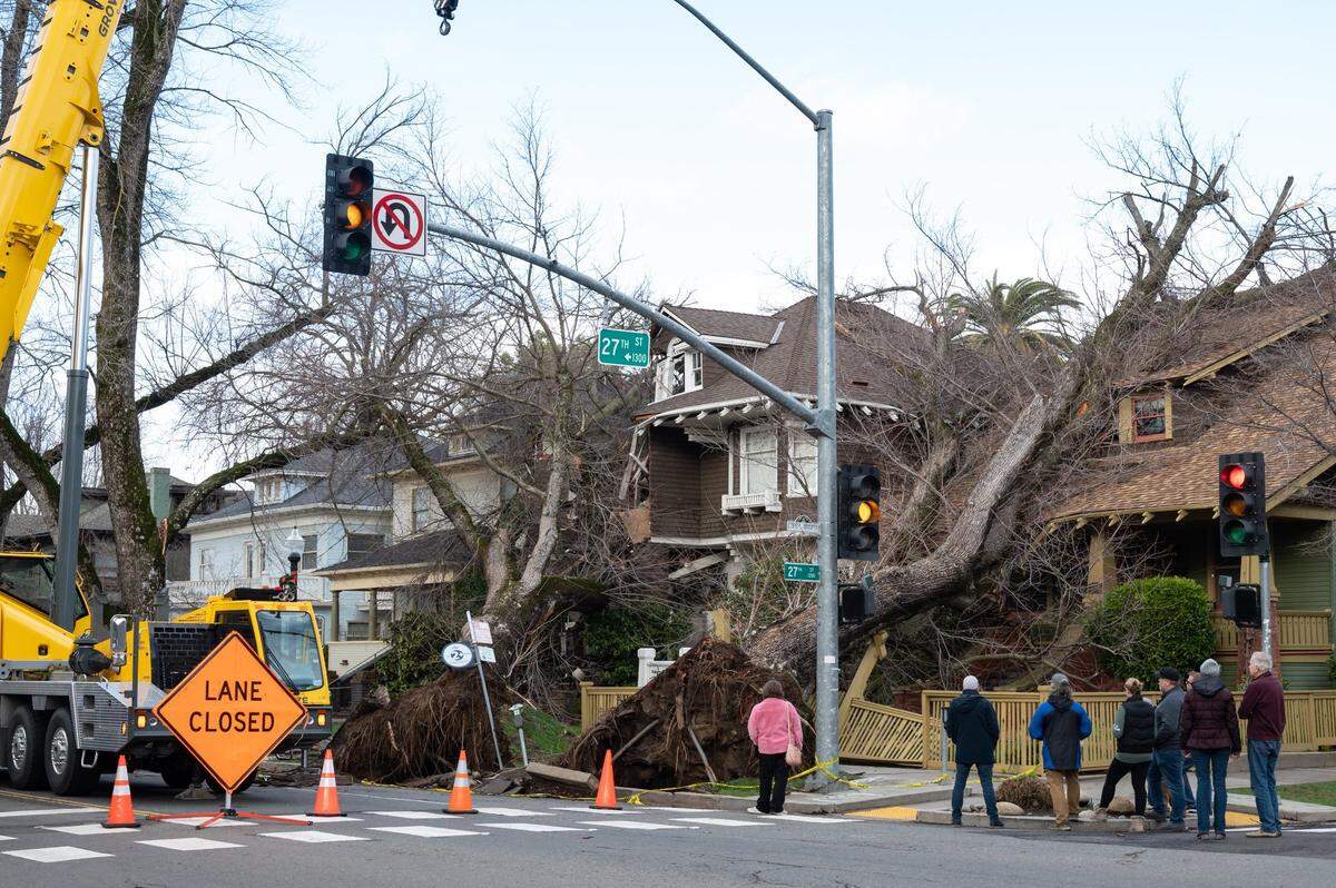 Bystanders stop to look at uprooted trees on Capitol Avenue at 27th Street on Jan. 8 in midtown after a storm brought violent winds to the Sacramento region overnight.