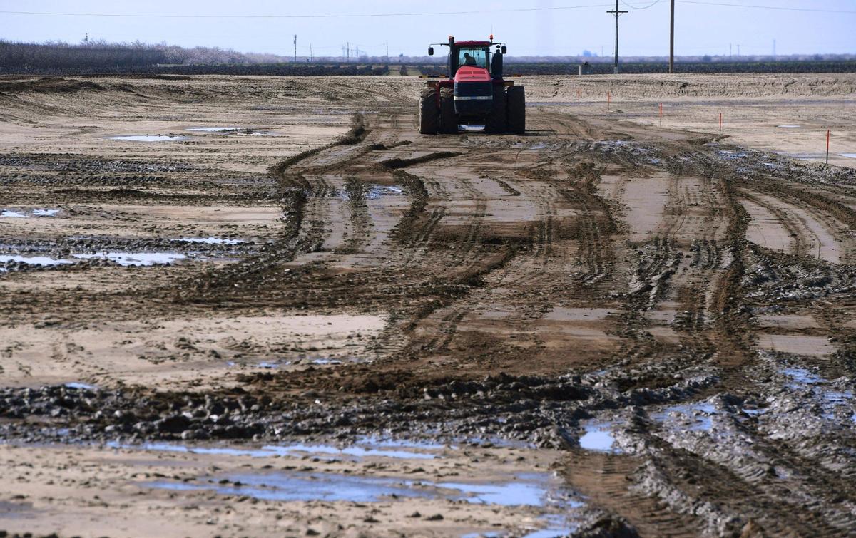 Heavy machinery grades and compacts the floor of a 20-acre basin on Markarian Family LP land as a project with hopes it will help recharge the local aquifer. Photographed Friday, March 3, 2023 near Madera.