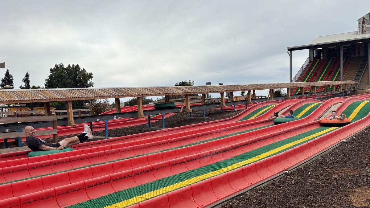 Colsten Wheatland pumpkin farm opens early for free watermelon festival ...