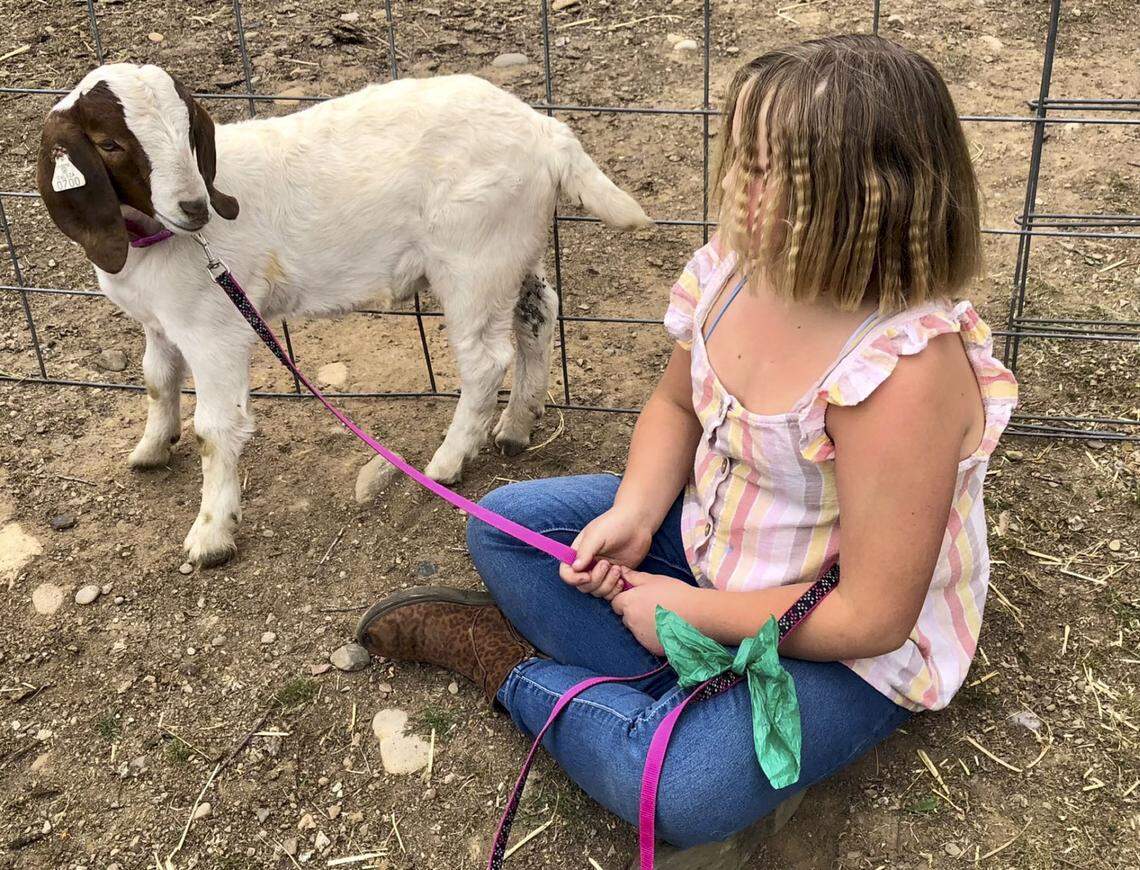 Jessica Long’s daughter holds Cedar’s leash. Cedar, a 7-month-old white Boer goat with chocolate markings framing its face, is now the subject of a federal civil rights lawsuit naming Shasta sheriff’s officials,