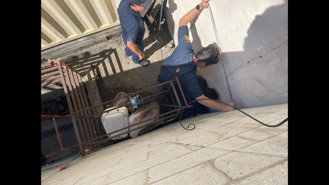 Firefighters try to free a dog that got trapped between two buildings fleeing the sound of fireworks.